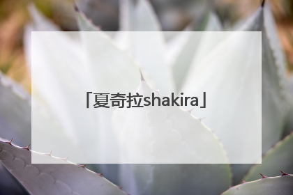 「夏奇拉shakira」夏奇拉Shakira