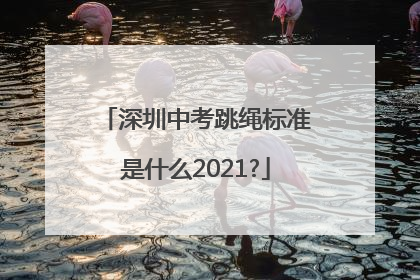 深圳中考跳绳标准是什么2021?