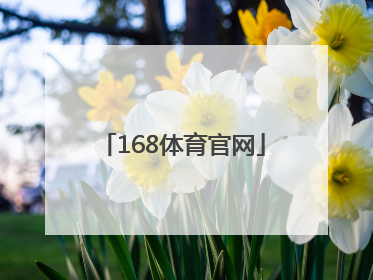「168体育官网」168体育官网辞45yb in