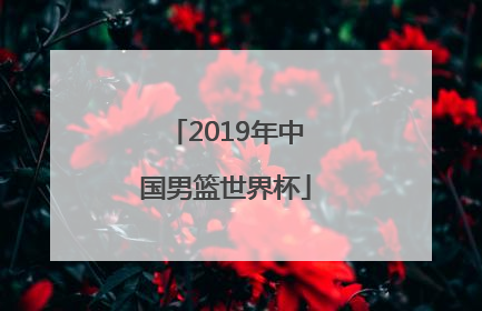 「2019年中国男篮世界杯」2019年中国男篮世界杯名单