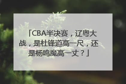 CBA半决赛，辽粤大战，是杜锋道高一尺，还是杨鸣魔高一丈？