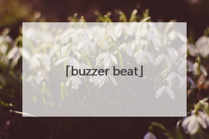 「buzzer beat」buzzer beater篮球术语
